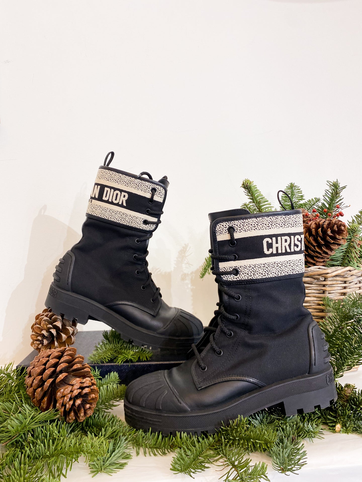 Anfibio D-Major - N. 39